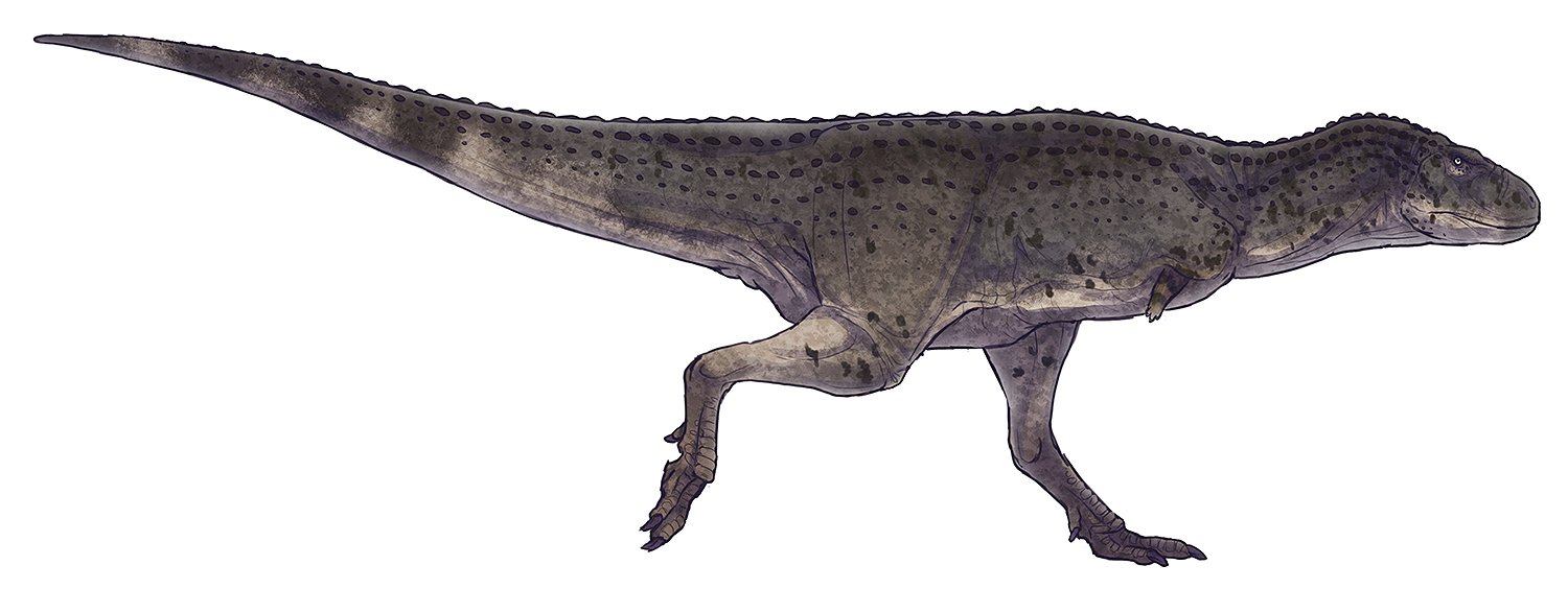 By Paleocolour - [1], CC BY-SA 4.0, https://commons.wikimedia.org/w/index.php?curid=62532615