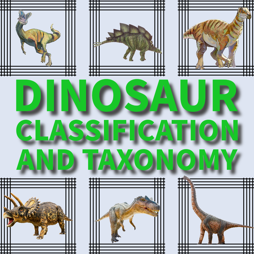 Unveiling Diversity: A Guide to Dinosaur Classification and Taxonomy ...