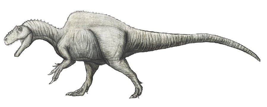 Becklespinax: British Theropod